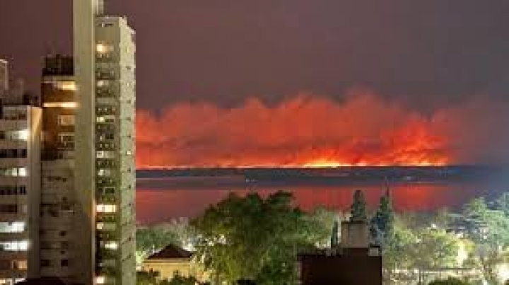 Desde el Ministerio de Ambiente de la Nación, los incendios en el Paraná responden a "una actitud criminal de algunos empresarios ganaderos".
