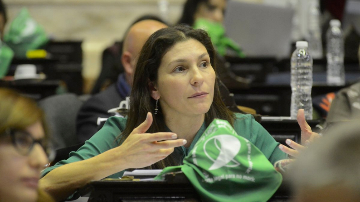 "Queremos garantizar la implementación de la ley de IVE en todas las provincias", Mónica Macha