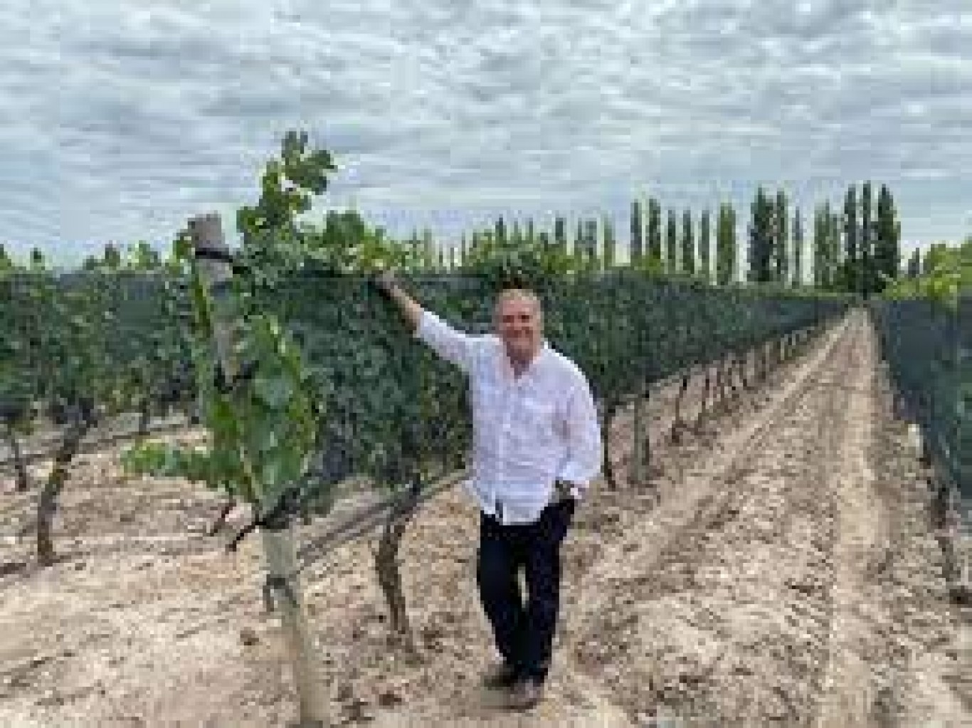 "Estábamos empezando el desarrollo del vino autóctono ucraniano hasta que vino esto.." , Ricardo Fernández Núñez.