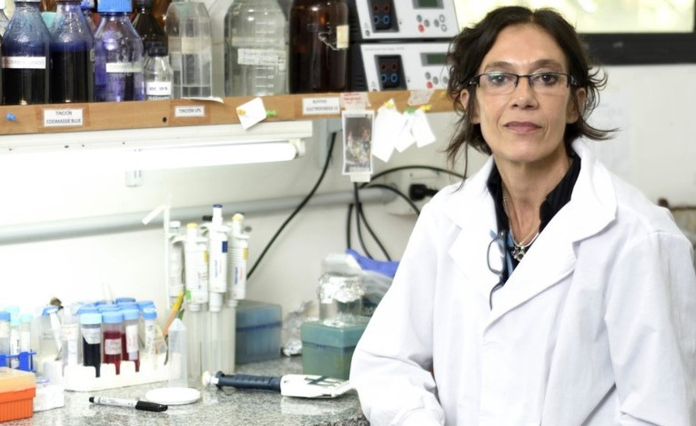 Daniela Hozbor: “Hay que mantener la ciencia. Es una decisión política”