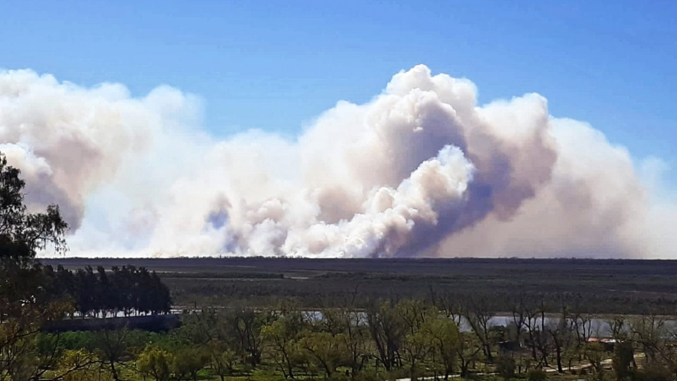 "En San Pedro nada más, entre el 20 y el 26 de agosto, se incendiaron 8 mil hectáreas", Guadalupe Nava