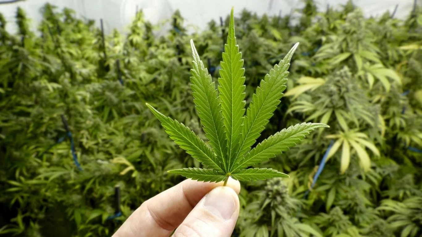 "El uso recreativo del cannabis está sancionado hasta con 2 años de prisión", Mariano Fusero