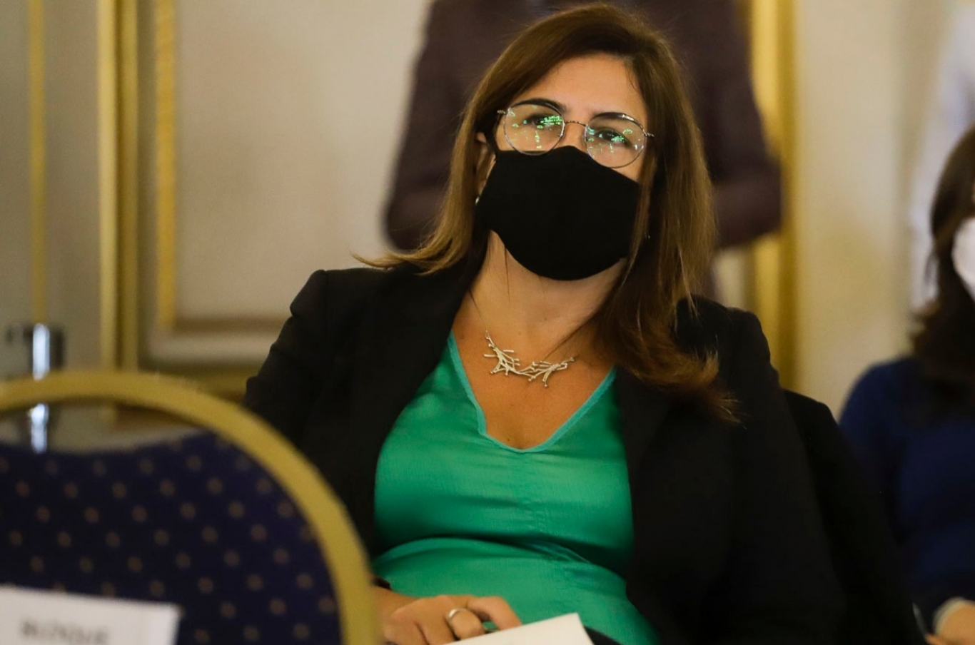 "No hay un proyecto del ejecutivo para los terrenos de Costa Salguero", Claudia Neira