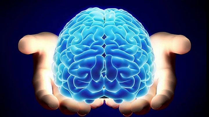 "El cerebro consume el %20 de la energía que se genera a diario", Raúl Matera